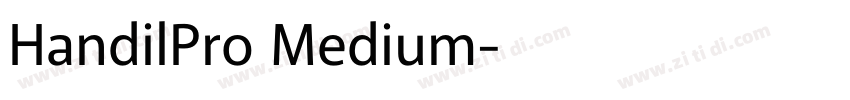 HandilPro Medium字体转换